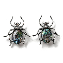 Dark Green Dual-use Items Alloy Spider Brooch, with Natural Paua Shell, Antique Silver, Dark Green, 42x38x9.5mm, Hole: 4.5X4mm