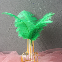 Medium Spring Green Ostrich Feather Ornament Accessories, for DIY Costume, Hair Accessories, Backdrop Craft, Medium Spring Green, 200~250mm