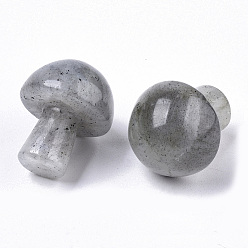 Лабрадорита Натуральный камень лабрадорит гуаша, инструмент для массажа со скребком гуа ша, для спа расслабляющий медитационный массаж, неокрашенными, грибовидный, 21x16 мм