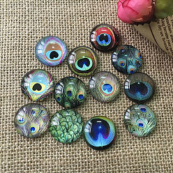 Mixed Color K5 Glass Cabochons, Half Round with Peacock Feather Pattern, Mixed Color, 6mm