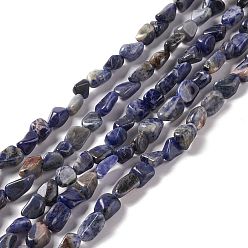 Sodalite Natural Sodalite Beads Strands, Chip, 5~13x6~8x4~6mm, Hole: 1mm, 15.55''(39.5cm)