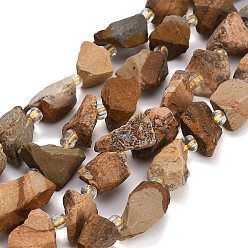 Picture Jasper Raw Rough Natural Picture Jasper Beads Strands, Nuggets, with Seed Beads, 11~28x9~13x6~10mm, Hole: 1mm, about 24~29pcs/strand, 14.96''(38cm)~15.75''(40cm)