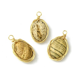 Picture Jasper Natural Picture Jasper Copper Wire Wrapped Pendants, Oval Charms, Light Gold, 21~23x12~12.5x5~6mm, Hole: 3mm