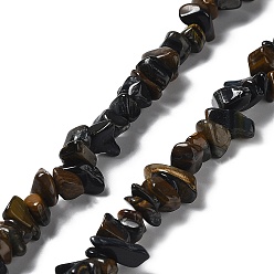 Tiger Eye Natural Tiger Eye Chip Beads Strands, Mixed Dyed and Undyed, 1~8x5~17x5~8mm, Hole: 0.9~1mm, 30.31~31.50''(77~80cm)