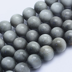 Eagle Eye Stone Natural Hawk's Eye Beads Strands, Eagle Eye Stone, Round, Grade A, 12mm, Hole: 1mm, about 32pcs/strand, 15.7 inch(40cm)