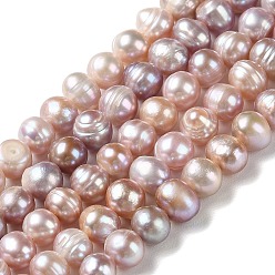 Thistle Natural Cultured Freshwater Pearl Beads Strands, Potato, Grade A, Thistle, 6~8.5x6.5~7.5mm, Hole: 0.7mm, about 52pcs/strand, 13.86''(35.2cm)
