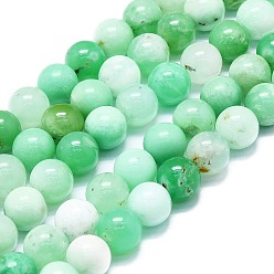 Chrysoprase Natural Chrysoprase Beads Strands, Round, 9~9.5mm, Hole: 1mm, about 43pcs/strand, 15.35''(39cm)