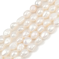 Морская Ракушка Нити из натурального культивированного пресноводного жемчуга, двух сторон полированной, класс 4, цвет морской раковины, 7~8 мм, отверстие : 0.6 мм, около 36~37 шт / нитка, 13.54~13.82'' (34.4~35.1 см)