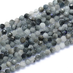 Eagle Eye Stone Natural Hawk's Eye Beads Strands, Eagle Eye Stone, Faceted, Round, 2~2.5mm, Hole: 0.6mm, about 158pcs/strand, 15.55 inch(39.5cm)