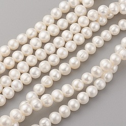 Seashell Color Natural Cultured Freshwater Pearl Beads Strands, Potato, Seashell Color, 8~9x7~8mm, Hole: 0.5mm, about 51pcs/strand, 14.17 inch(36cm)