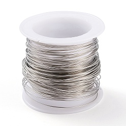 Stainless Steel Color 316 Surgical Stainless Steel Wire, for Jewelry Making, Stainless Steel Color, 22 Gauge, 0.6mm, about 59.05 Feet(18m)/roll