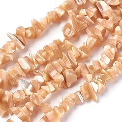 Seashell Color Freshwater Shell Beads Strands, Chip, Seashell Color, 5~22x3~10mm, Hole: 0.5mm, 31.9~32.7 inch(81~83cm)