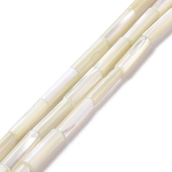 Лимонный шифон Природные trochid стеклянные бусы нити, колонка, лимонный шифон, 11.5~14x4 мм, отверстие : 0.6 мм, около 28~29 шт / нитка, 15.55~15.67 дюйм (39.5~39.8 см)