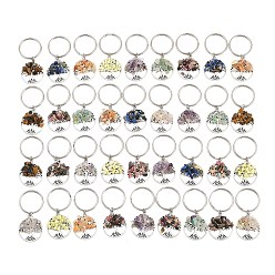 Mixed Stone 4 Sets Natural Stone Keychains, with Iron Split Key Rings, 304 Stainless Steel Jump Rings and Tibetan Style Alloy Pendants, Flat Round with Tree of Life, 5.5cm, 9pcs/set, 4 sets/box
