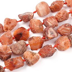 Carnelian Rough Raw Natural Carnelian Beads Strands, Nuggets, 15~27x16~29mm, Hole: 1.5mm, about 16pcs/strand, 15.55''~16.34''(39.5~41.5cm)