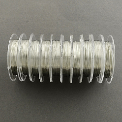 Silver Round Copper Wire for Jewelry Making, Silver Color Plated, 0.3mm, about 32.8 Feet(10m)/roll, 10 rolls/group