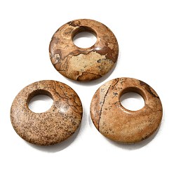 Пейзажный Джаспер Естественного изображения яшмы подвески, плоско-круглые, 40~41x8~9 мм, отверстие : 12~15 мм