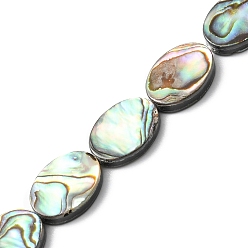 Paua Shell Natural Paua Shell Beads Strands, Oval, 14x10~10.5x3~3.5mm, Hole: 0.5mm, about 28pcs/strand, 16.02 inch(40.7cm)
