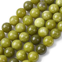 Светло-зеленый Коричневый Природный драгоценный камень, Тайвань нефрита, природная энергия камень целебная сила для изготовления ювелирных изделий, круглые, оливковый, 12 мм, отверстие : 1 мм, около 31 шт / нитка, 15.2 дюйм