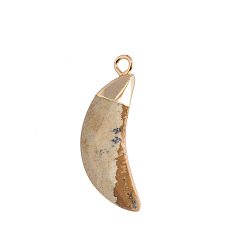 Picture Jasper Natural Picture Jasper Pendants, Faceted Moon Charms, with Golden Plated Brass Findings, 25x10mm