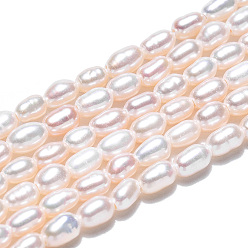 Seashell Color Natural Cultured Freshwater Pearl Beads Strands, Rice, Seashell Color, 3~4x2.5~3mm, Hole: 0.6mm, about 98~99pcs/strand, 13.86 inch~13.94 inch(35.2~35.4cm)