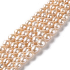 PeachPuff Natural Cultured Freshwater Pearl Beads Strands, Gradient Rice, Grade 6A+, PeachPuff, 5~10x4~9mm, Hole: 0.5mm, about 59~61pcs/strand, 15.83~16.14 inch(40.2~41cm)