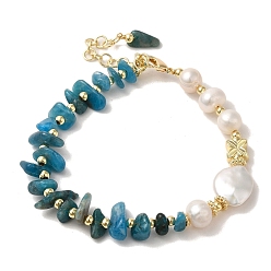 Real 14K Gold Plated Natural Pearl & Apatite Chips Beaded Bracelets, with Brass Clasps, Real 14K Gold Plated, 6-7/8 inch(17.5cm)