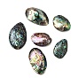 Естественно Ракушка Пауа кабошоны, овальные