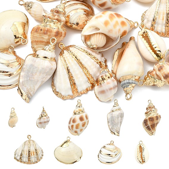 18шт. 9 стили подвесок из натуральной смеси ракушек с гальваническим покрытием, амулеты из ракушек с железной фурнитурой, золотые