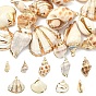 18шт. 9 стили подвесок из натуральной смеси ракушек с гальваническим покрытием, амулеты из ракушек с железной фурнитурой, золотые