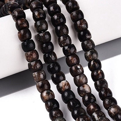 Natural Biotite Beads Strands, Barrel