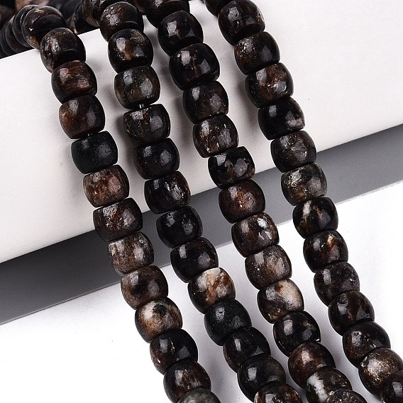Natural Biotite Beads Strands, Barrel