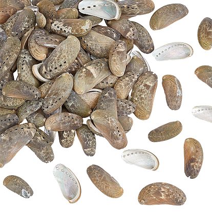 500г натуральной оболочки, формы раковины, для наполнителя вазы, материалы для украшения аквариума, diy craft