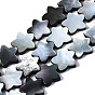 Natural Black Lip Shell Beads Strands, Star