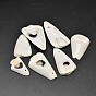 Natural Shell Nuggets Beads, 35~40x24~26x4~5mm, Hole: 1mm, about 100pcs/500g