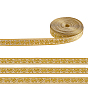 10 Yards Ethnic Style Embroidery Polyester Ribbons, Jacquard Ribbon, Tyrolean Ribbon, Garment Accessories
