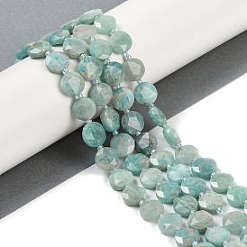 Natural Amazonite Beads Strands, Faceted Pentagonal Cut, Flat Round, with Seed Beads