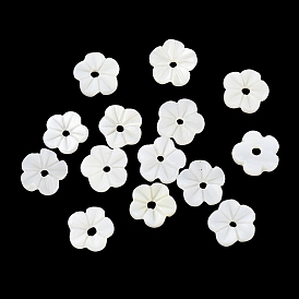 Cuentas talladas de concha de agua dulce natural, flor