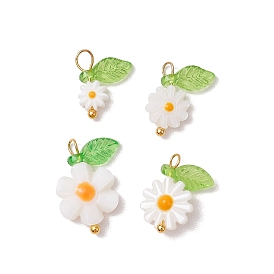 4 шт. 4 стили натуральные пресноводные ракушки эмалированные подвески, , с медными петлями, золотые