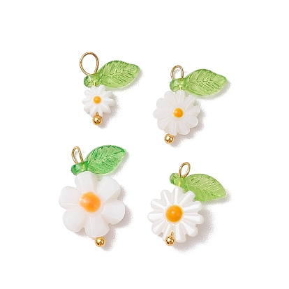 4 шт. 4 стили натуральные пресноводные ракушки эмалированные подвески, , с медными петлями, золотые