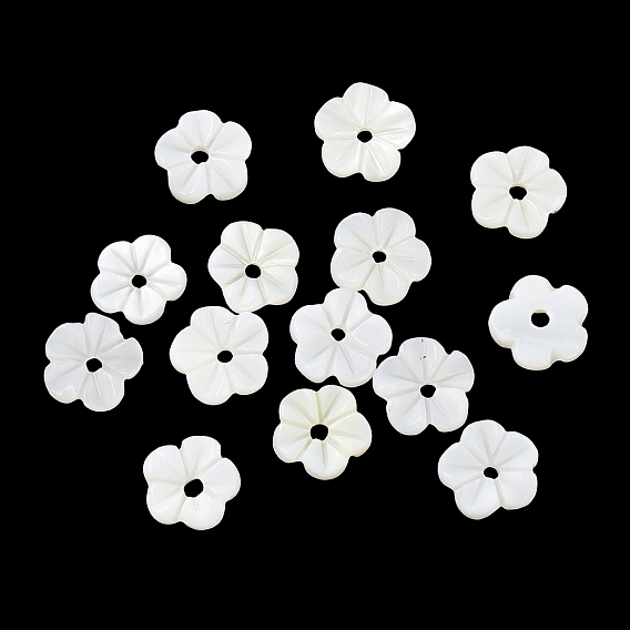 Cuentas talladas de concha de agua dulce natural, flor