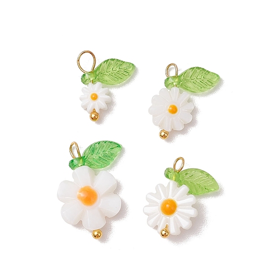 4 шт. 4 стили натуральные пресноводные ракушки эмалированные подвески, , с медными петлями, золотые