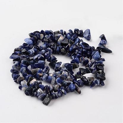 Brins de perles en pierre naturelle à pois bleus, 4~6x8~12x2~4mm, Trou: 1mm, environ 34.6 pouce