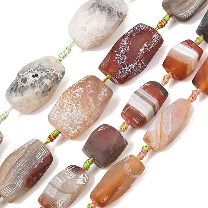 Natural Weathered Agate Beads Strands, Dyed & Heated, Hexagon