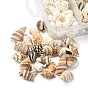 5 Styles Mixed Natural Shell Beads, No Hole, Mixed Shapes