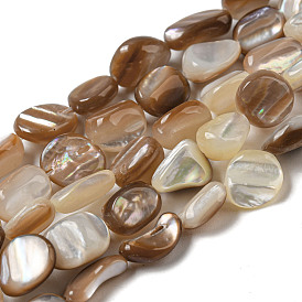 Natural Seashell Beads Strands, Nuggets