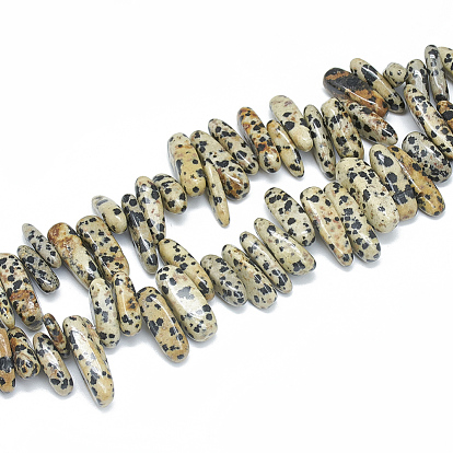 Natural Dalmatian Jasper Beads Strands, Chip