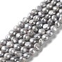 Natural Cultured Freshwater Pearl Beads Strands, Dyed, Two Sides Polished