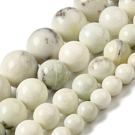 Perles de jaspe dendritiques naturelles, ronde