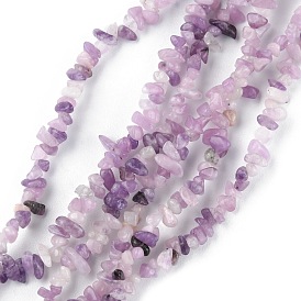 Natural Lepidolite/Purple Mica Stone Beads Strands, Chip